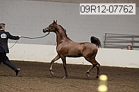 09r12-07762 proof