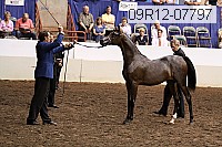 09r12-07797 proof