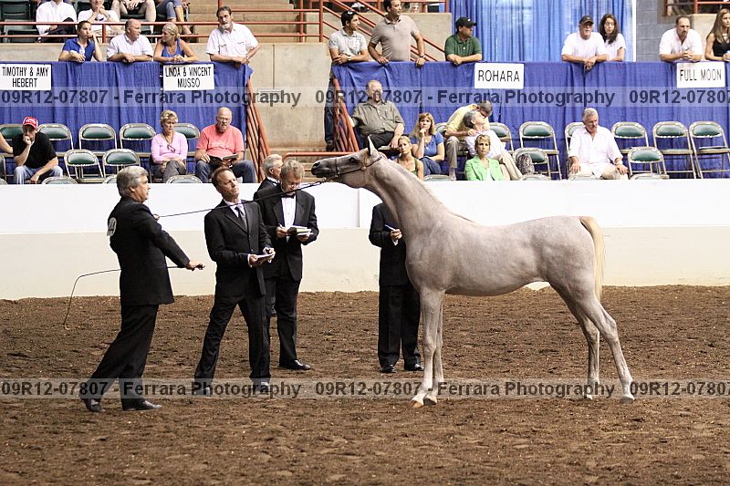 Proof 09r12-07807