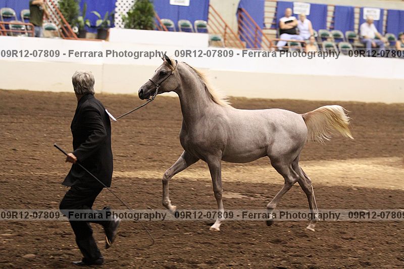Proof 09r12-07809