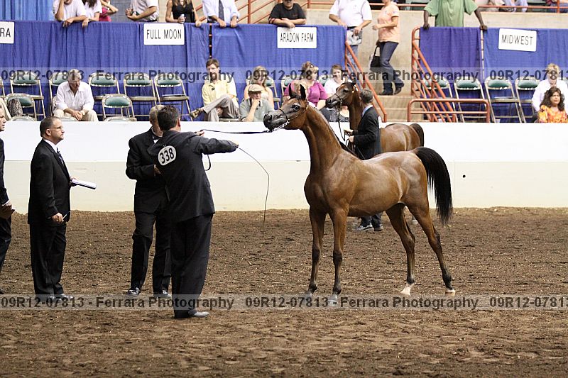 Proof 09r12-07813