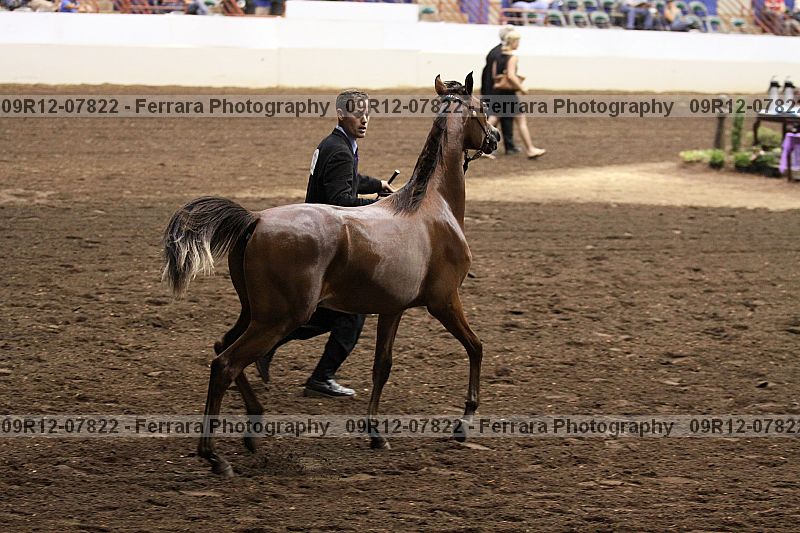 Proof 09r12-07822