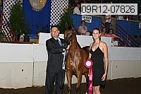 09r12-07826 proof