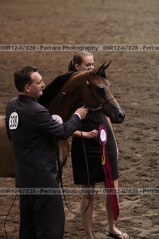 Proof 09r12-07828
