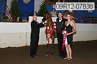 09r12-07838 proof