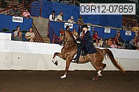09r12-07859 proof