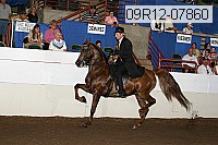 09r12-07860 proof