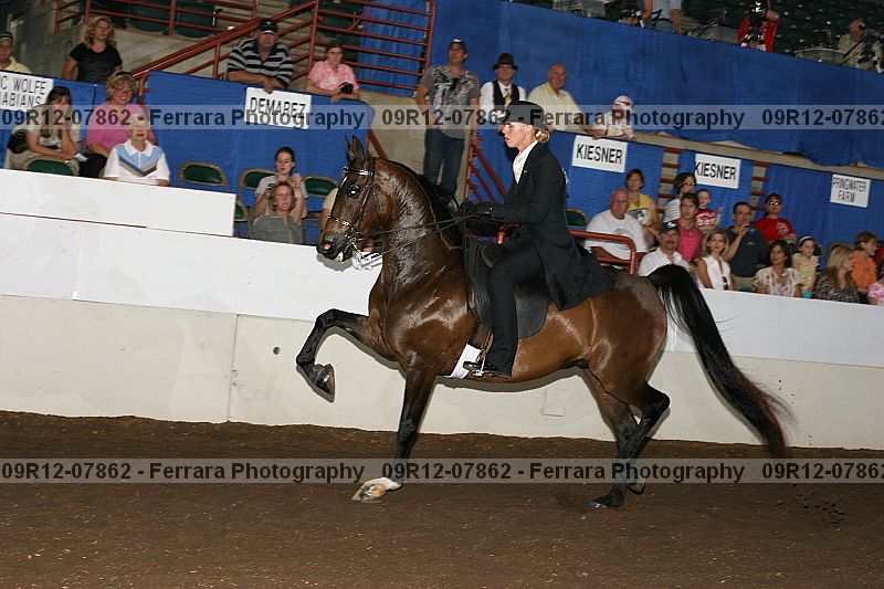 Proof 09r12-07862