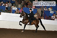 09r12-07865 proof