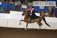 09r12-07866 proof