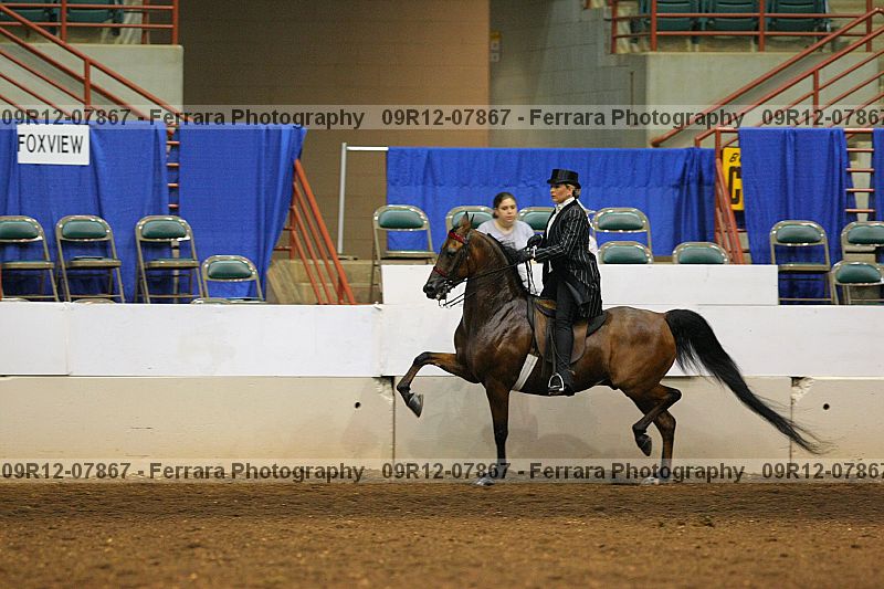 Proof 09r12-07867