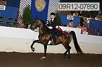 09r12-07890 proof