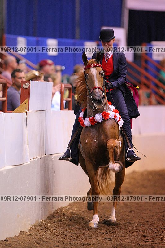 Proof 09r12-07901