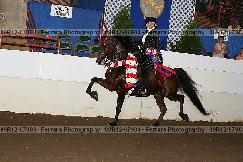 Proof 09r12-07903