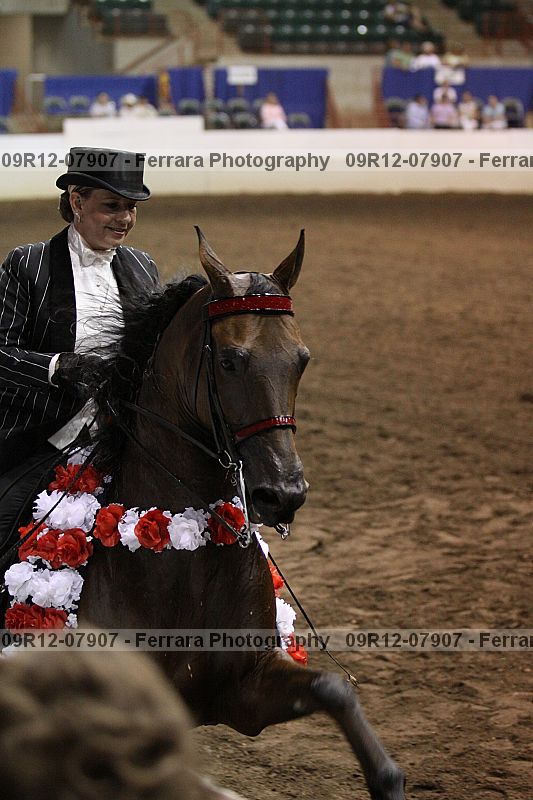 Proof 09r12-07907
