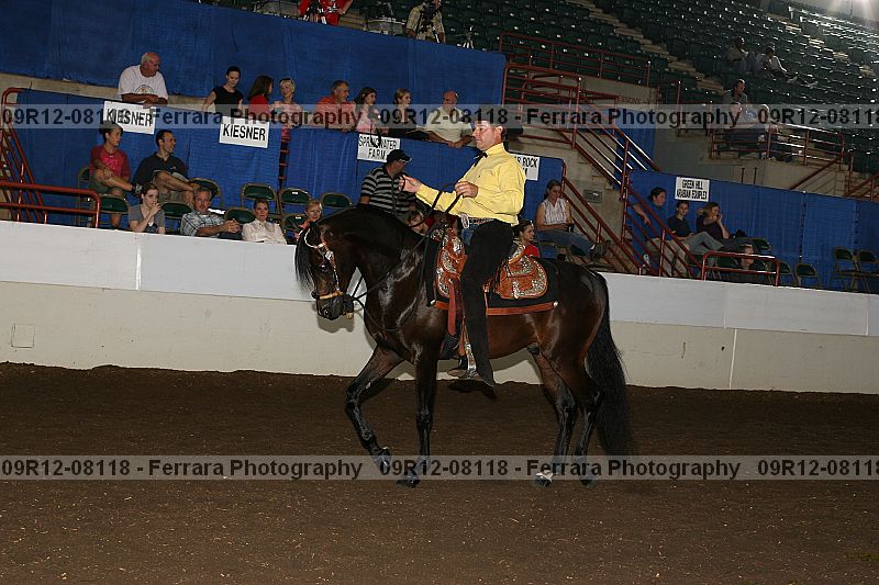 Proof 09r12-08118