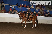 09r12-08119 proof