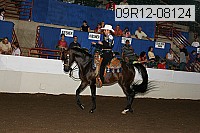 09r12-08124 proof