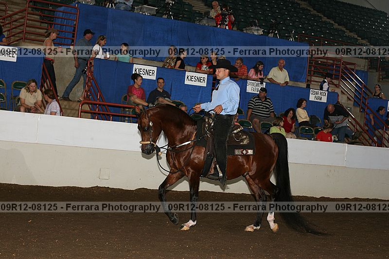 Proof 09r12-08125