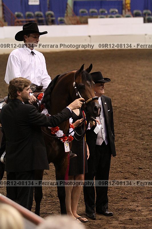 Proof 09r12-08134