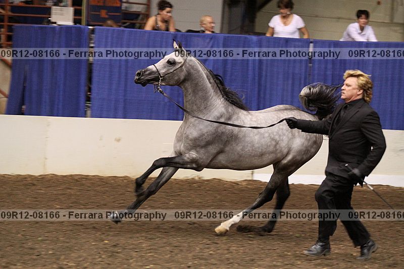 Proof 09r12-08166