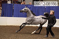 09r12-08166 proof