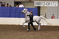 09r12-08172 proof