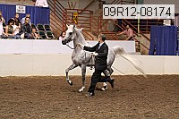 09r12-08174 proof