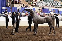 09r12-08206 proof