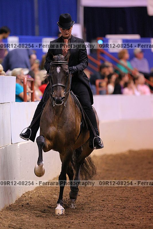 Proof 09r12-08254