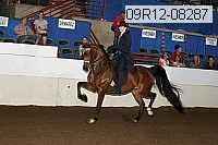 09r12-08287 proof