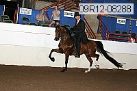 09r12-08288 proof