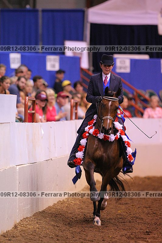 Proof 09r12-08306