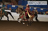 09r12-08310 proof