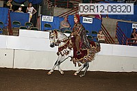 09r12-08320 proof