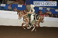 09r12-08322 proof