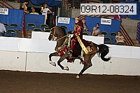 09r12-08324 proof