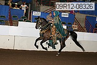 09r12-08326 proof