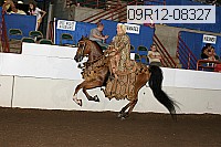 09r12-08327 proof