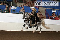 09r12-08329 proof