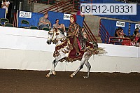 09r12-08331 proof