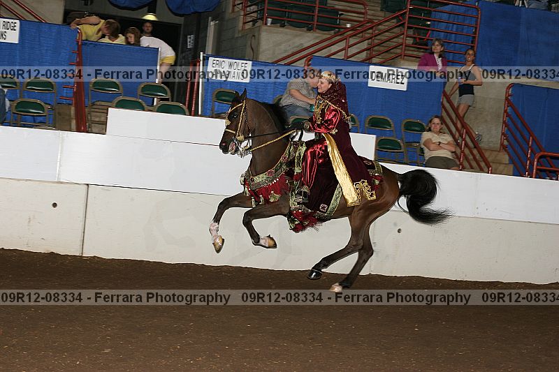 Proof 09r12-08334