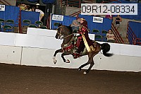 09r12-08334 proof
