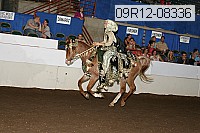 09r12-08336 proof