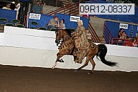 09r12-08337 proof