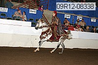 09r12-08338 proof