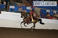 09r12-08340 proof
