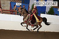 09r12-08347 proof