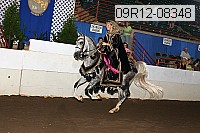 09r12-08348 proof