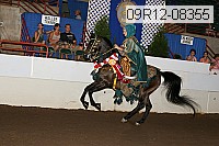 09r12-08355 proof